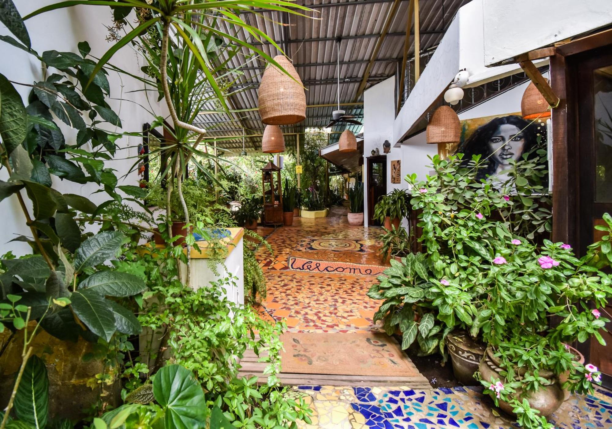 Cabinas Jacaranda Puerto Viejo de Talamanca Exterior foto